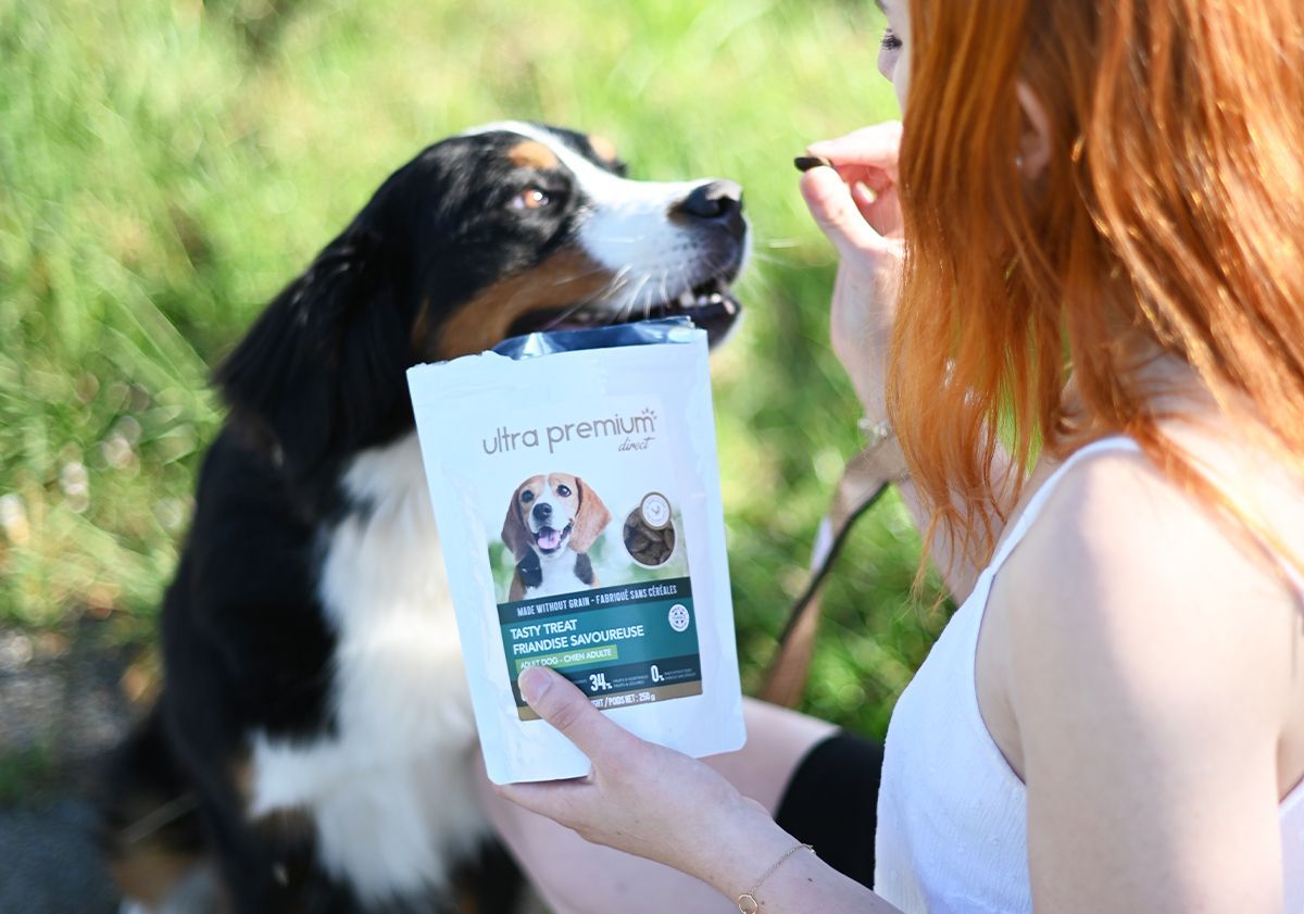 Chien recevant une friandise de la part de sa maîtresse