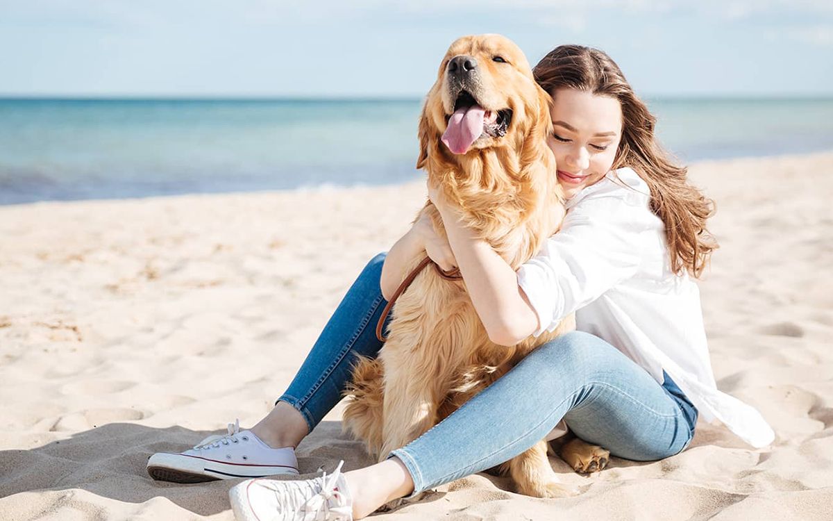 Chien en vacances avec son chien