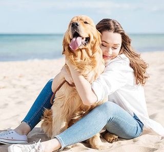 Chien sur la plage avec sa maîtresse