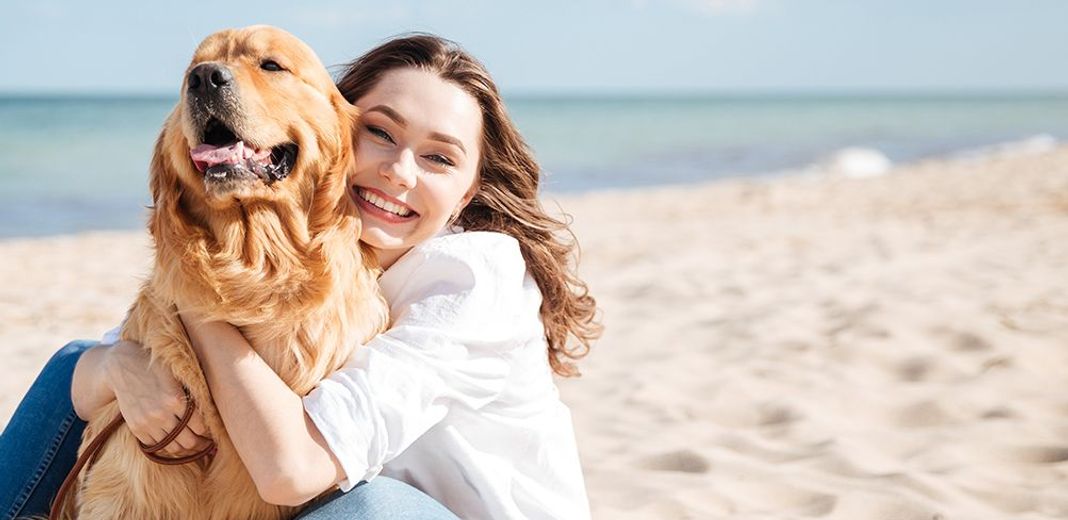 Chien sur la plage dans les bras de sa maîtresse