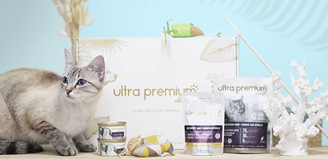 Chat proche de la box d'été Ultra Premium Direct