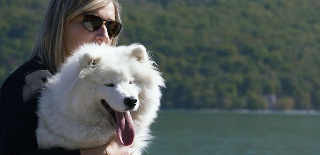 Une femme tenant un chien blanc à poils longs