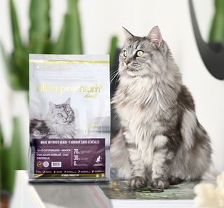 L'alimentation lyophilisée pour chien et chat - Blog Ultra Premium Direct