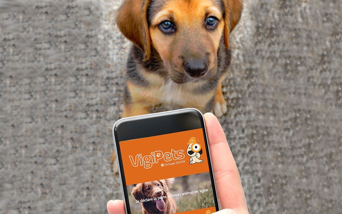 Application VigiPets