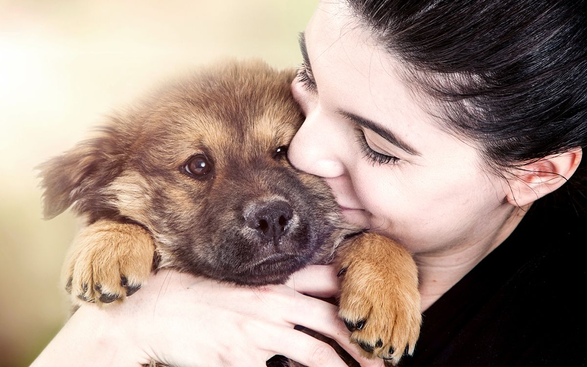 Maîtresse tenant son chiot