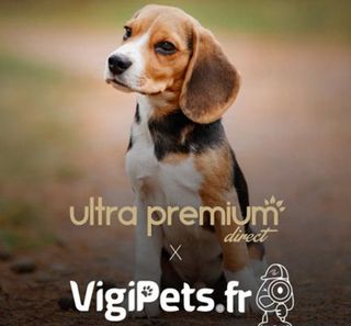 VigiPets