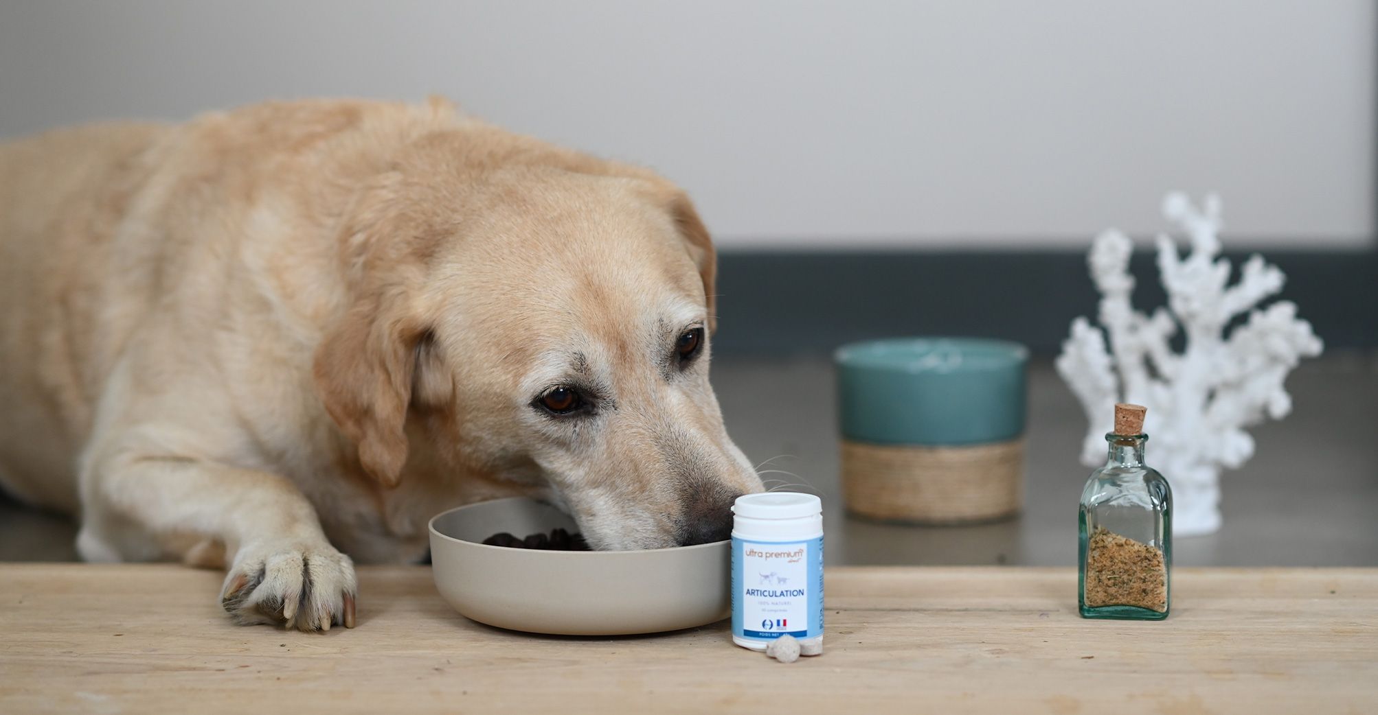 Complément Alimentaire pour Chien - Articulation - Ultra Premium