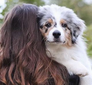 Une femme, dos à la caméra, porte un chien regardant l'objectif