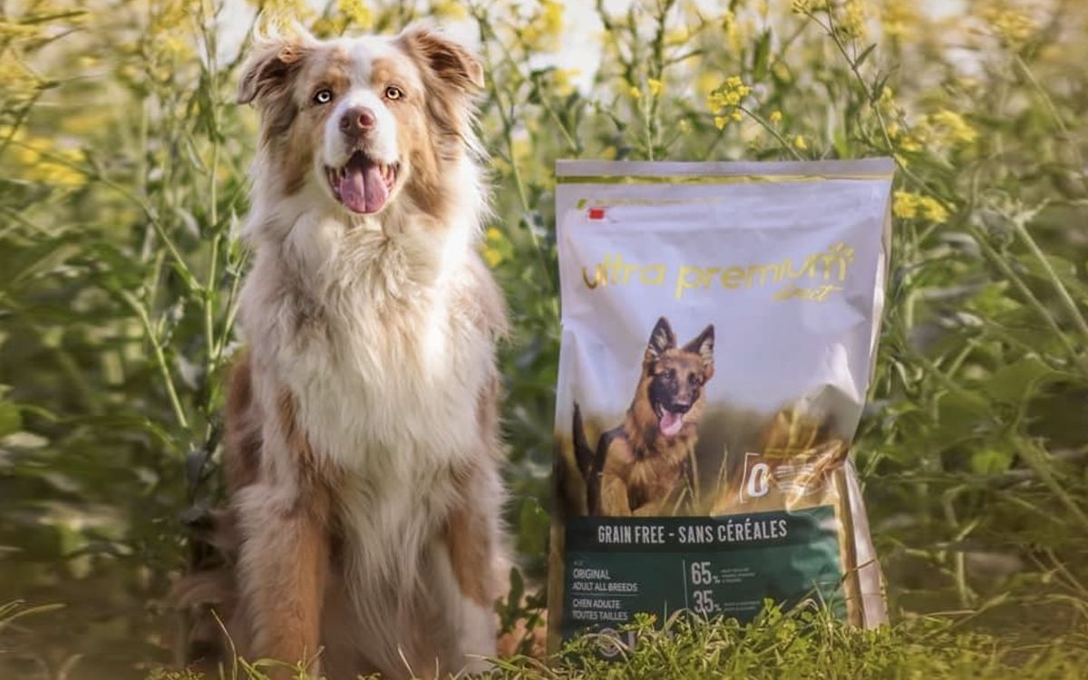 Un chien assis à côté d'un sac de croquettes sans céréales d'Ultra Premium Direct