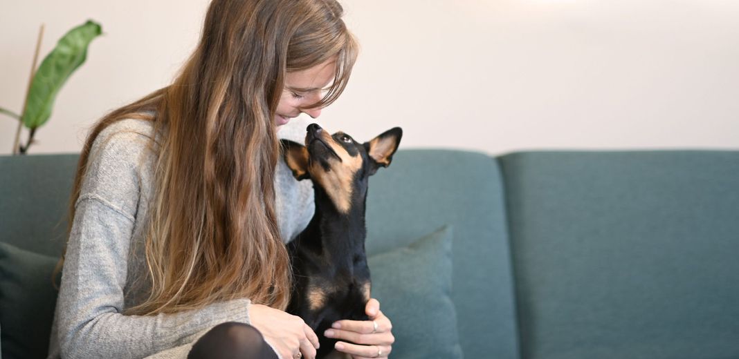 Une femme tenant un Pinscher sur un canapé