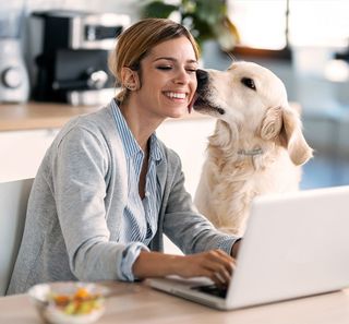 Femme télétravaillant avec son chien