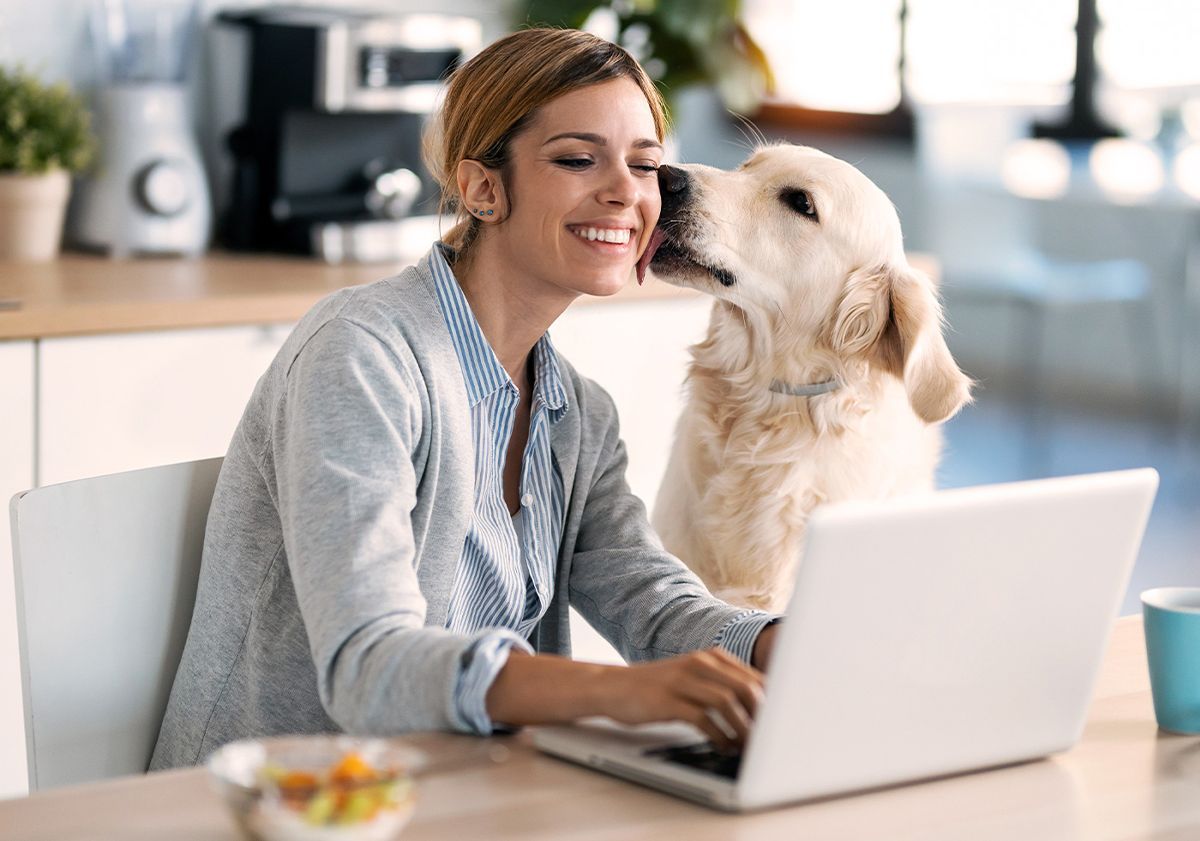 Chien avec sa maîtresse