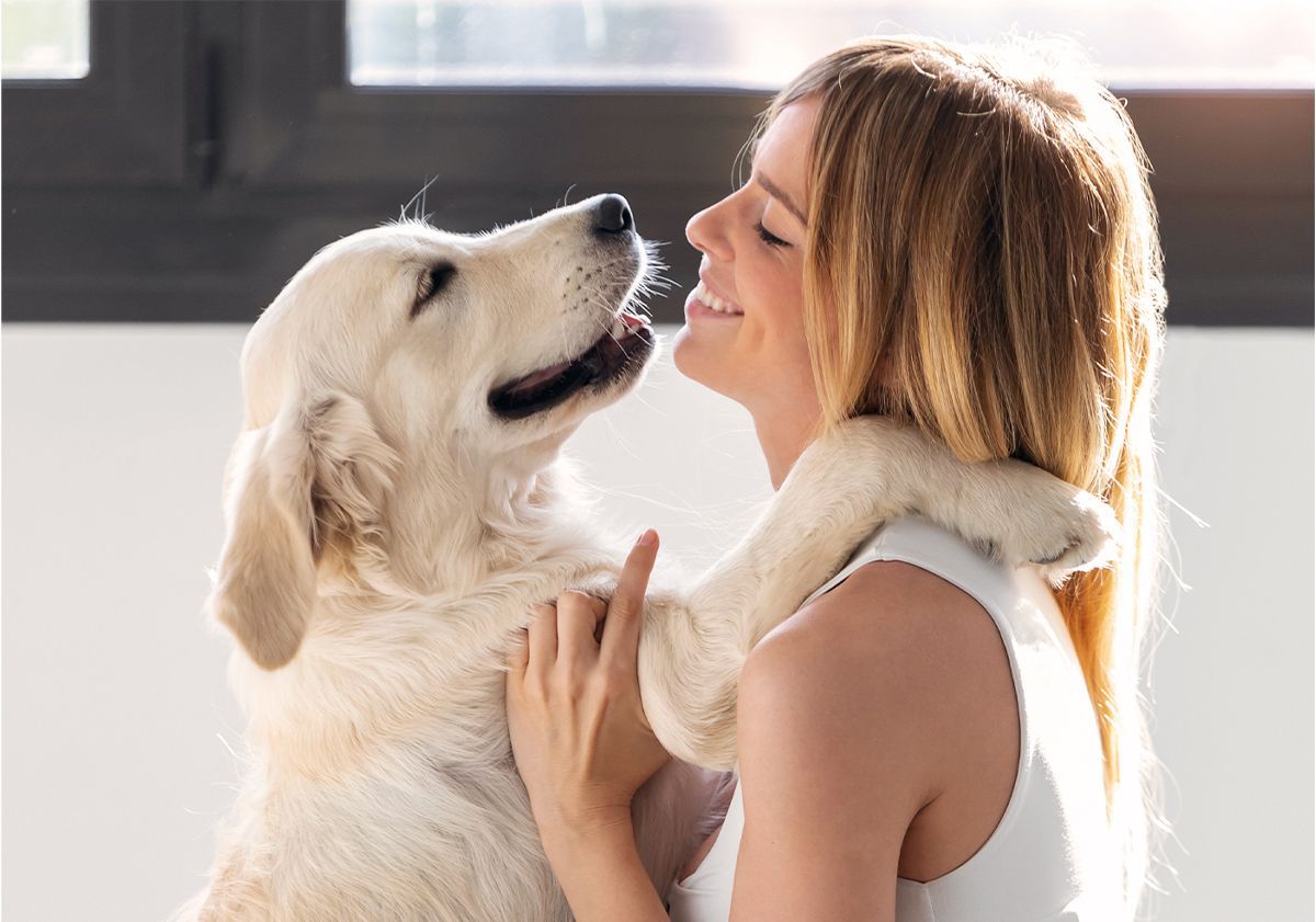 Golden Retriever dans les bras de sa maîtresse