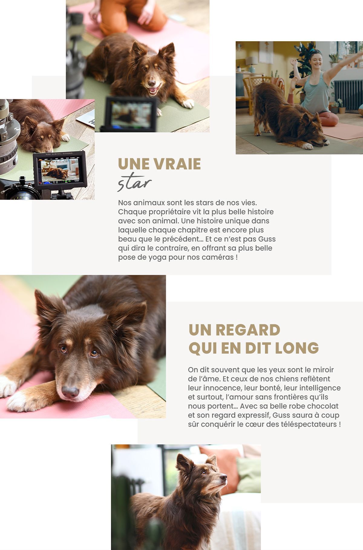 Infographie nouveau film TV Ultra Premium Direct