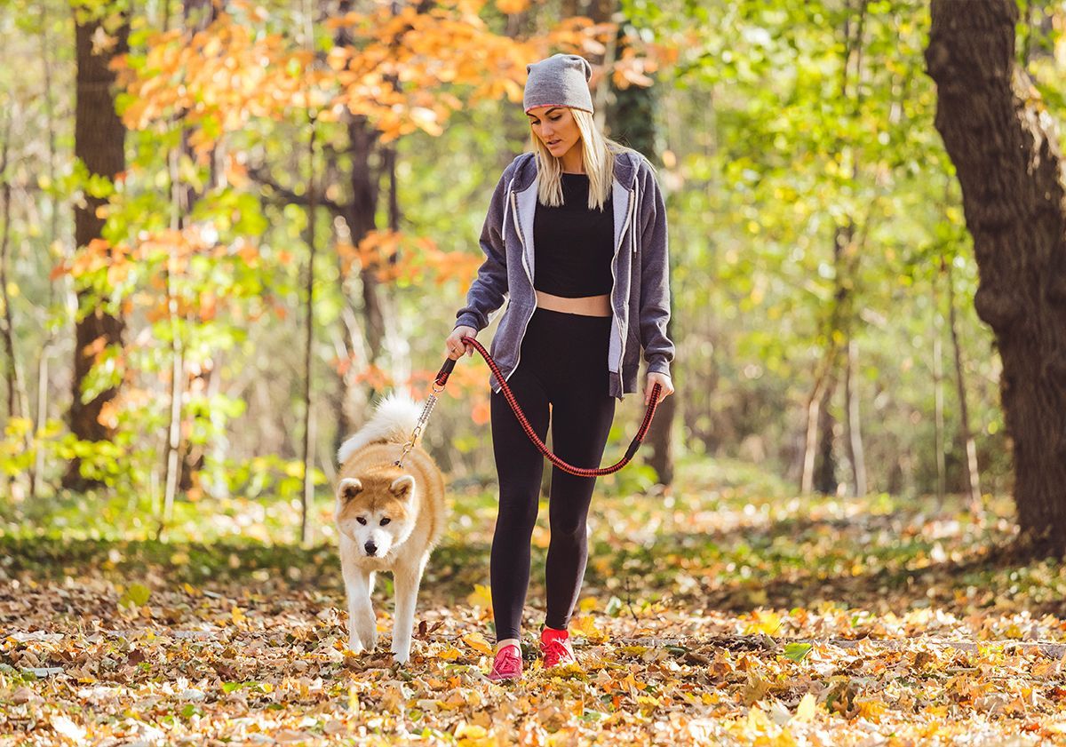 Femme en forêt avec son chien