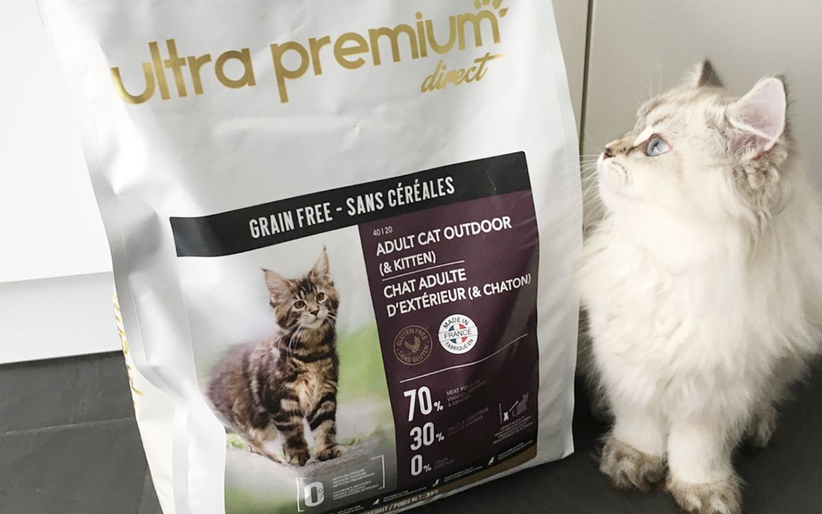 Chaton à côté d'un sac de croquettes sans céréales Ultra Premium Direct