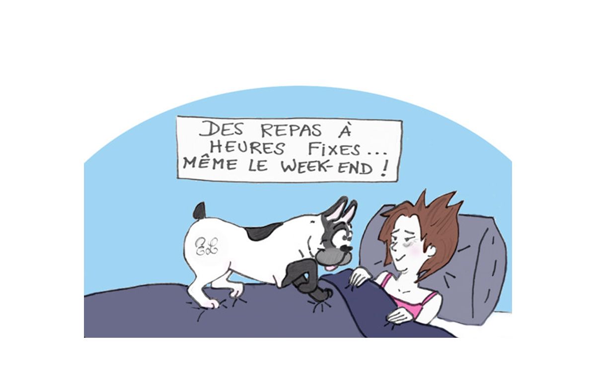 Dessin représentant une femme avec son chien sur le lit