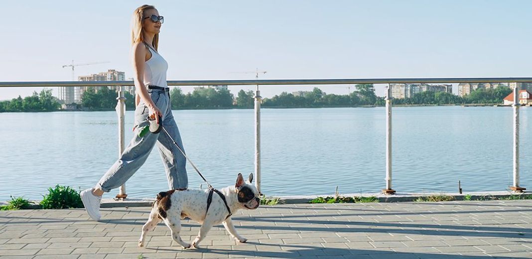 Une femme promenant son chien