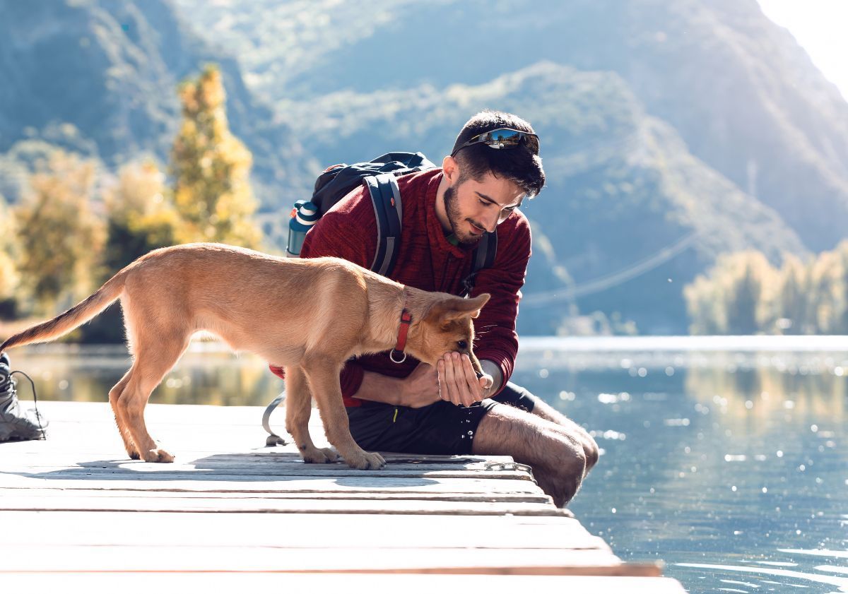 chien buvant dans un fleuve avec son maître en randonnée