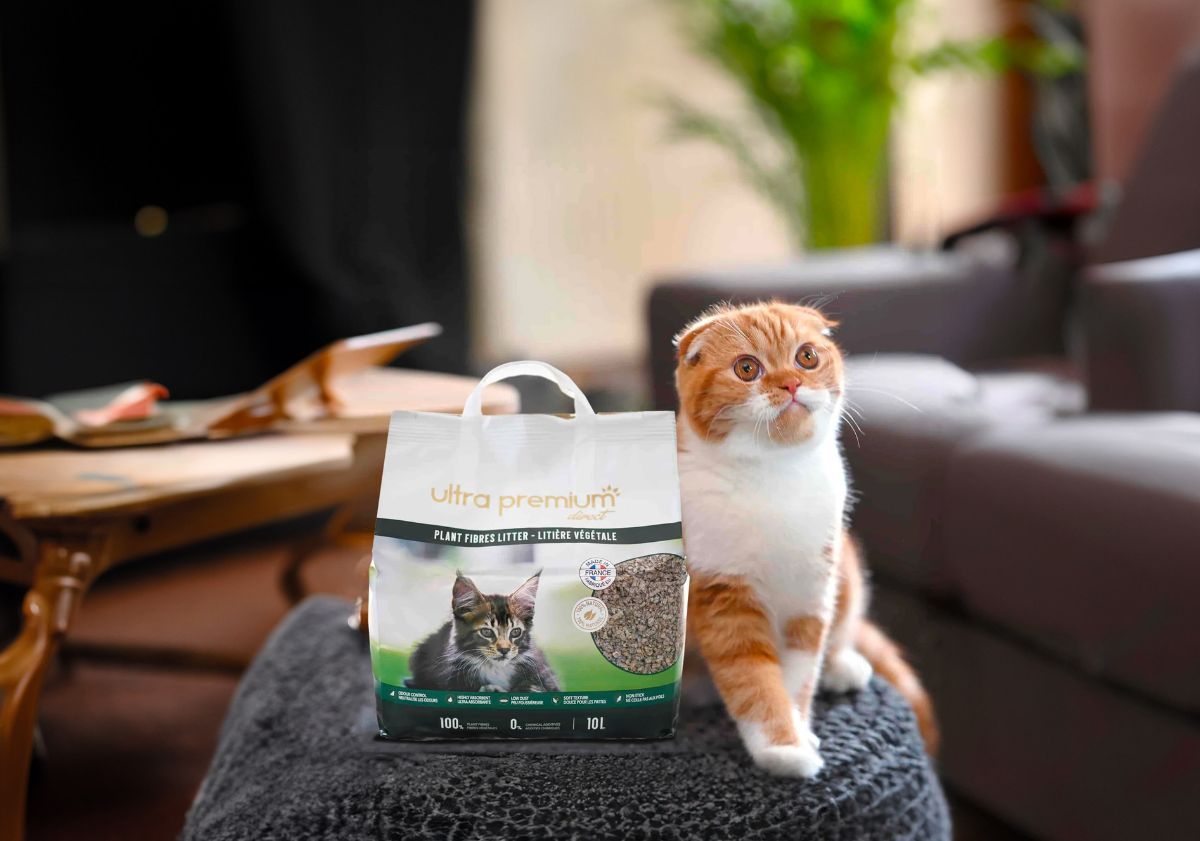 chat avec sa litière végétale ultra premium direct