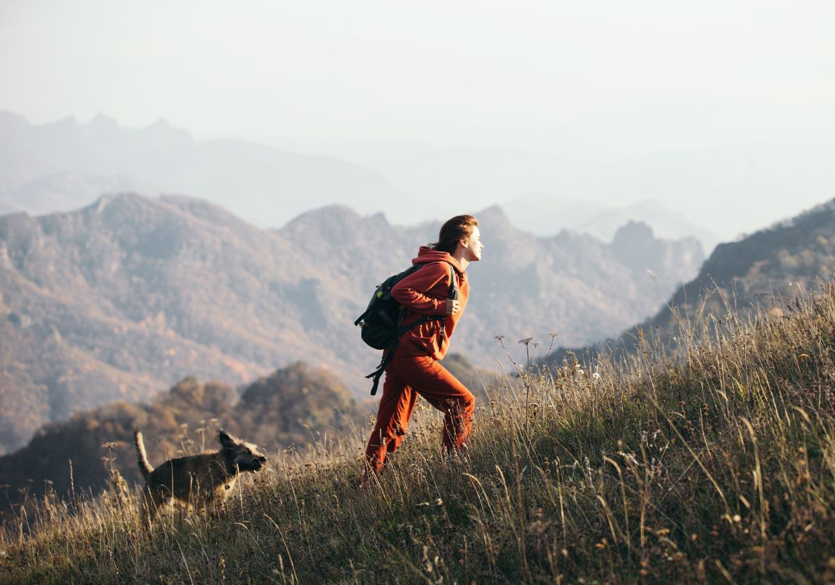 chien suivant son maître lors d'une randonnée