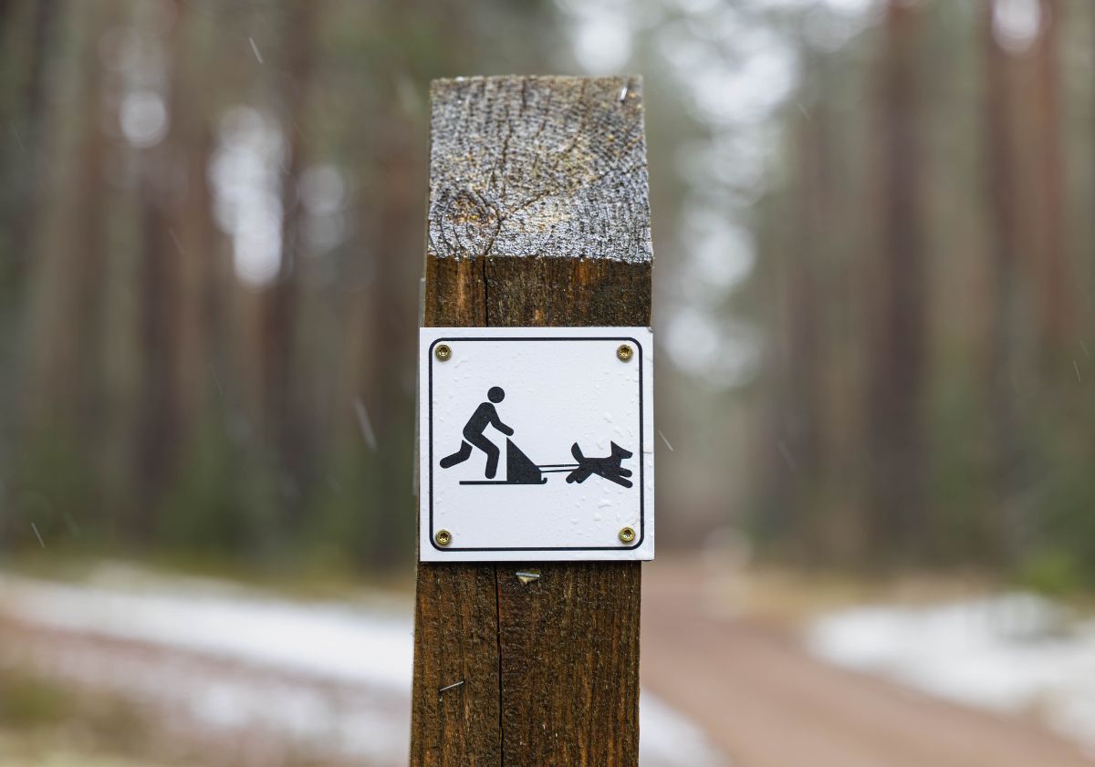 panneau piste de skijöring