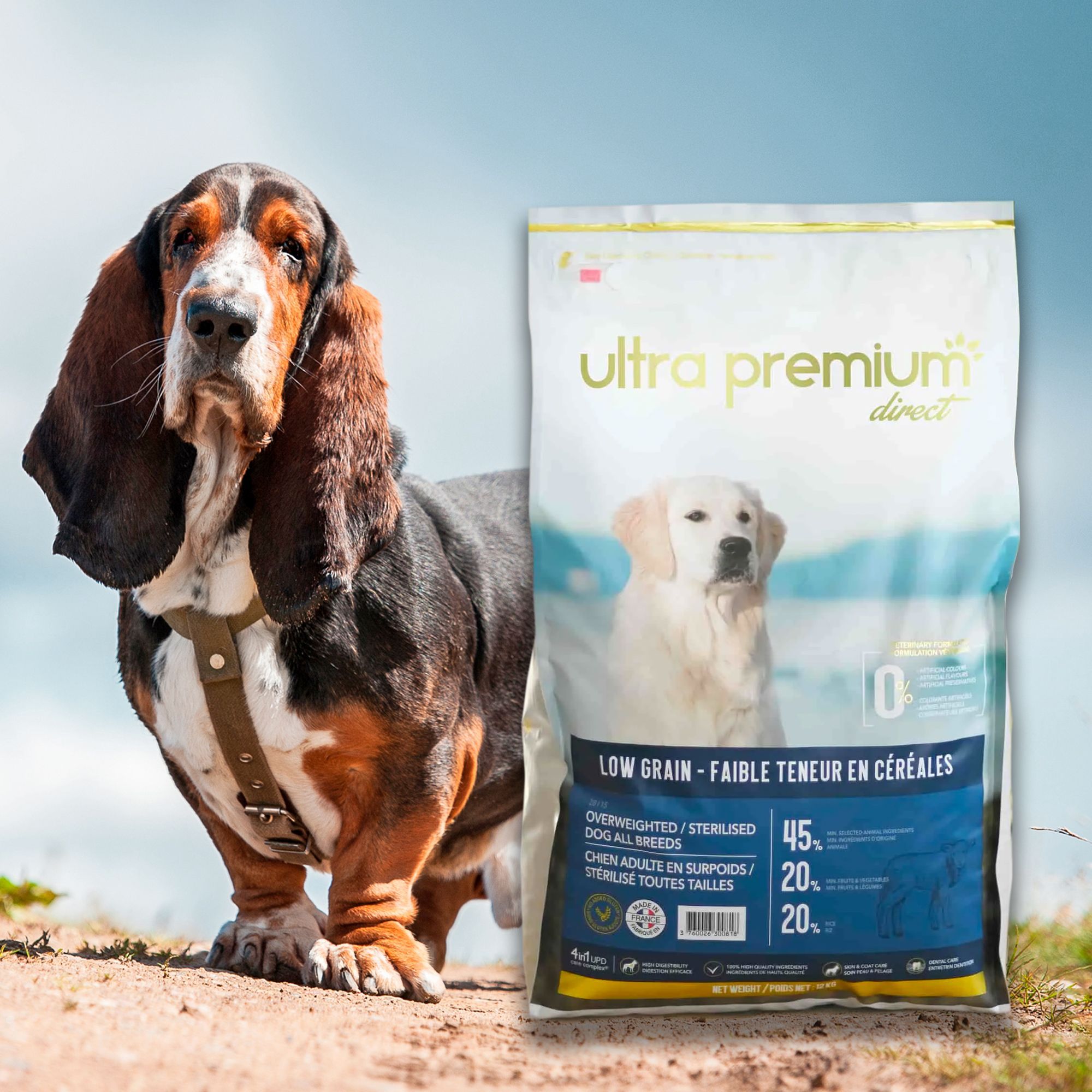 Croquettes pour Basset Hound Ultra Premium Direct