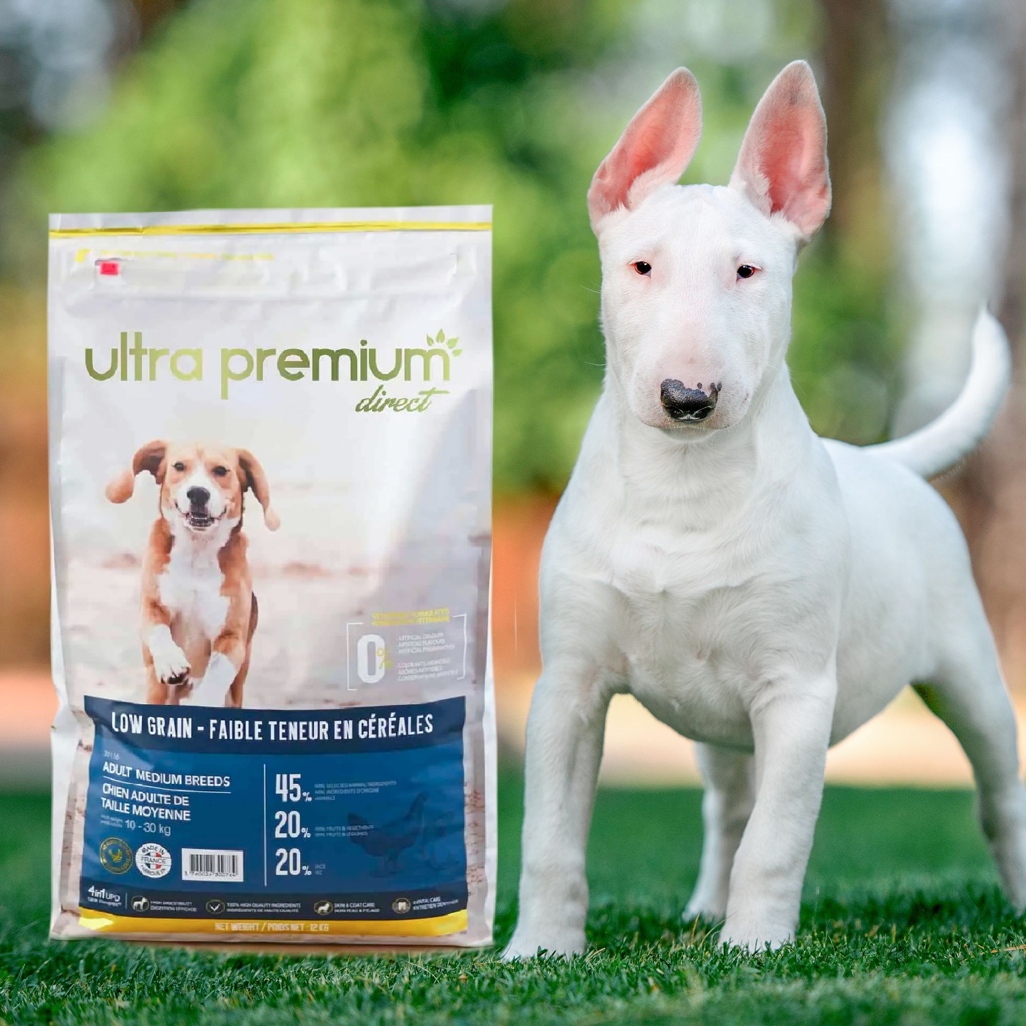 Croquettes pour Bull Terrier Ultra Premium Direct
