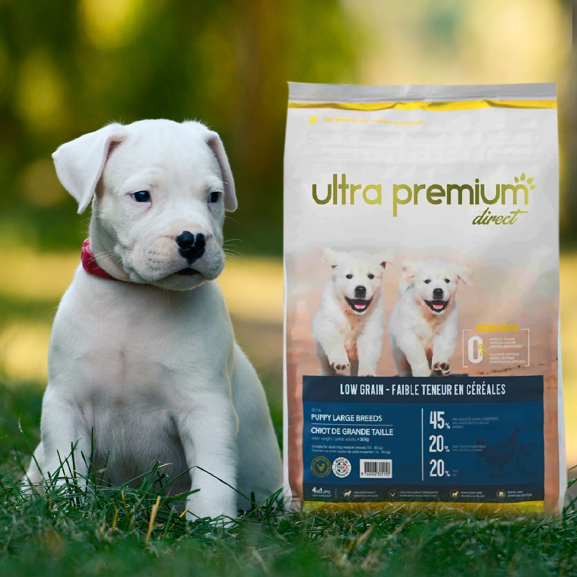 Croquettes pour Dogue Argentin Ultra Premium Direct