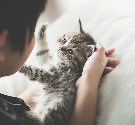 Enfant caressant un chaton 