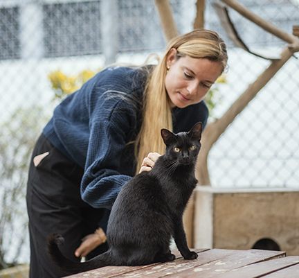 staff Ultra Premium Direct chat noir refuge