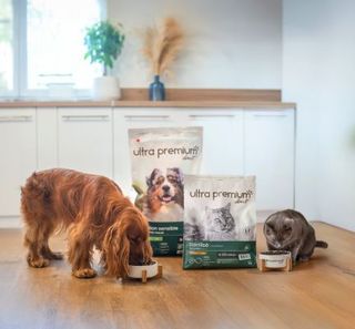 chien cocker et chat mangeant leurs croquettes ultra premium direct