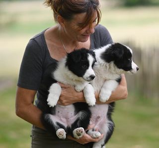 Éleveuse avec ses chiots