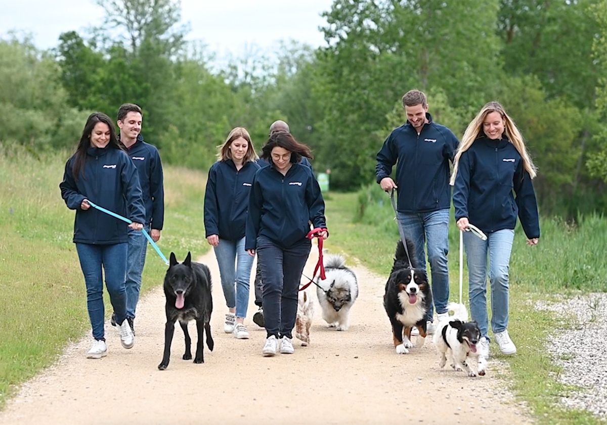 les membres ultra premium direct et leurs animaux