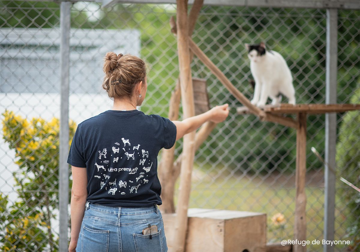 fondation ultra premium direct