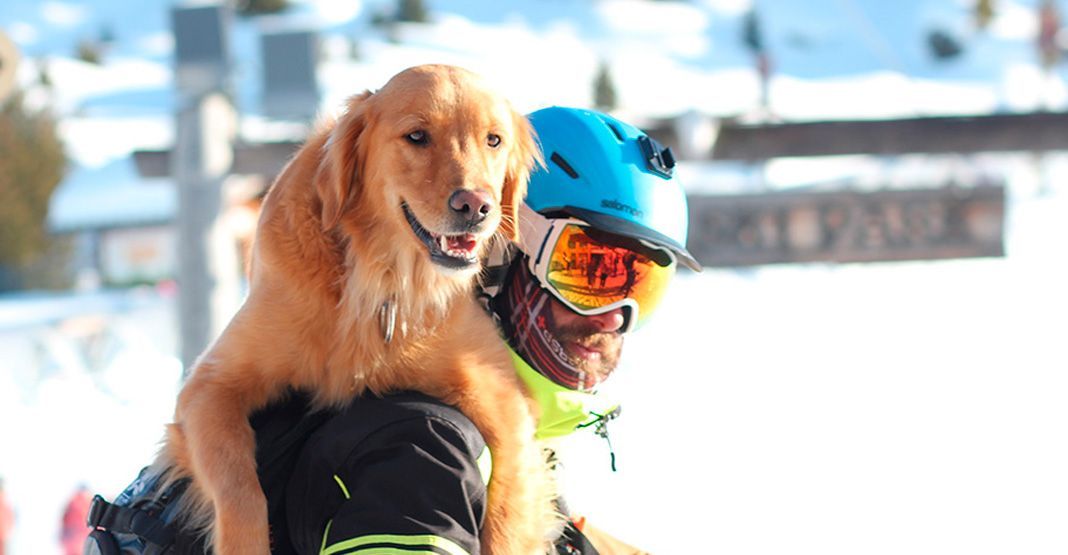 chien sauveteur d'avalanche et son maître