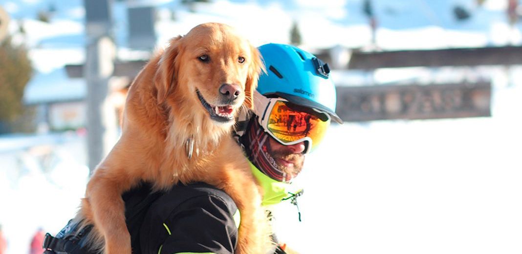 chien sauveteur d'avalanche et son maître