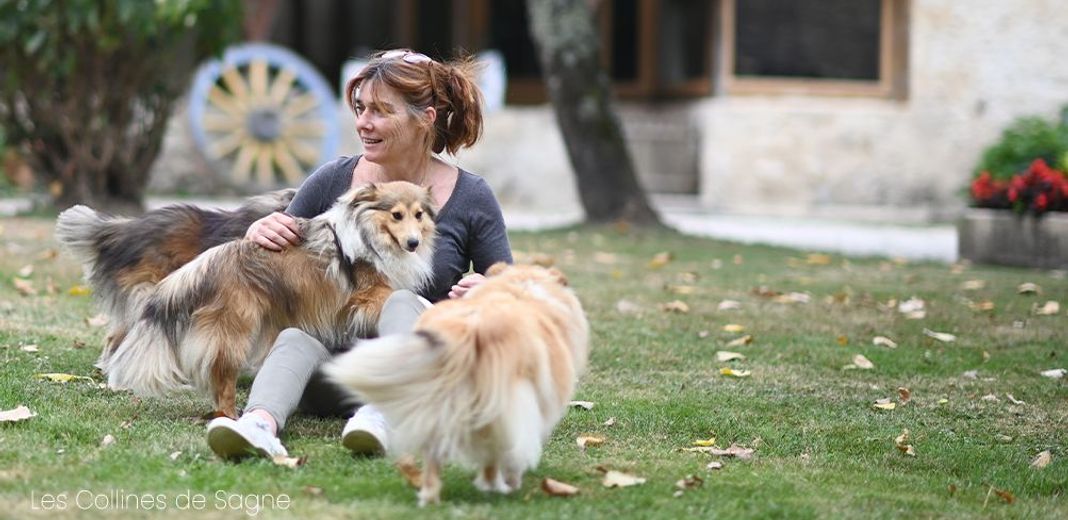 Adopter un deuxième chien : quelle race choisir ?