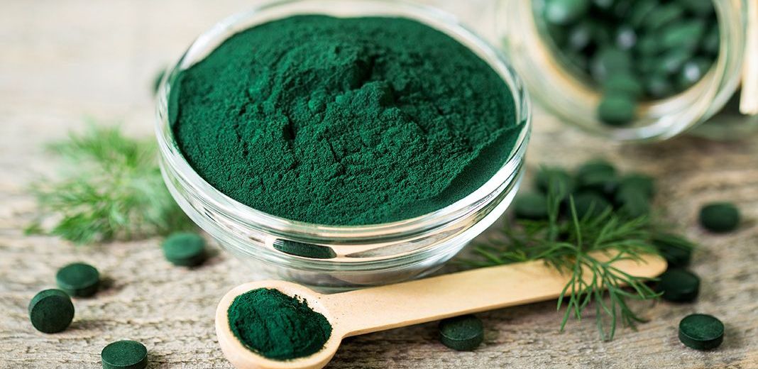 spiruline en poudre dans assiette