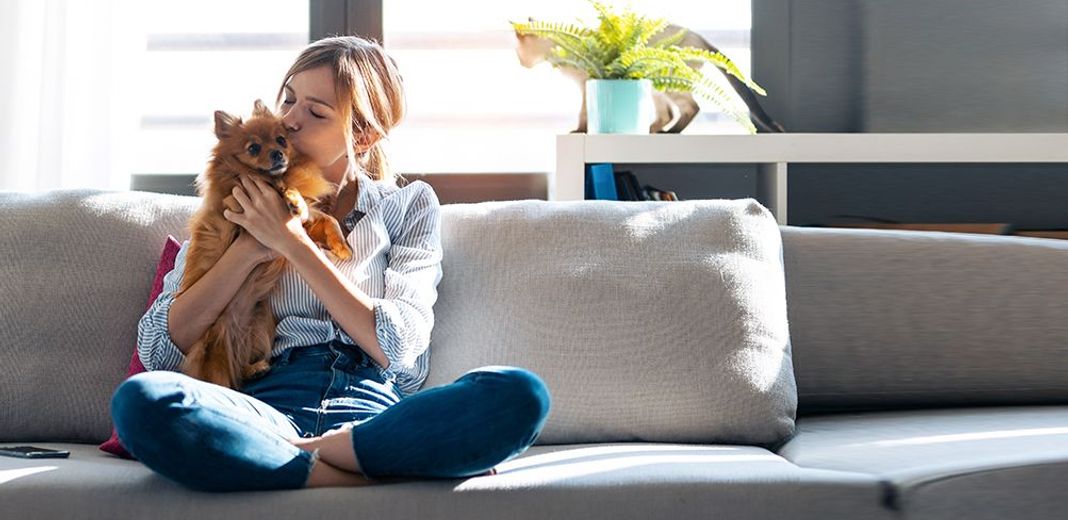 Chien en appartement avec sa maîtresse