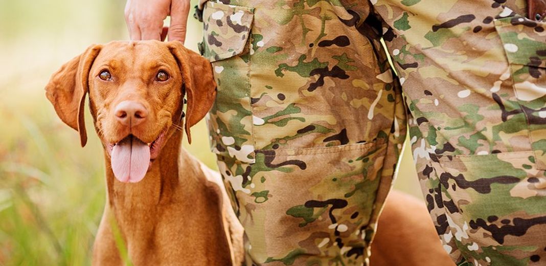 Chien de chasse avec son maître