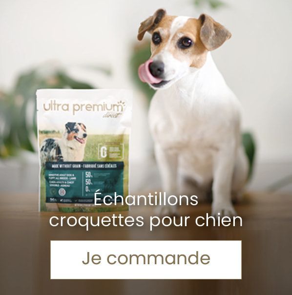 Baume coussinets & truffe chien - Féméa