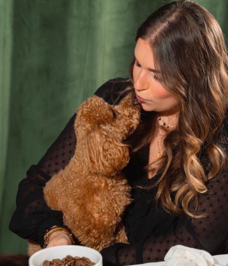 caniche dans les bras de sa maîtresse