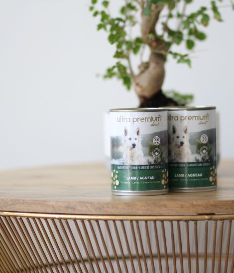 pâtées pour chien ultra premium direct à l'agneau