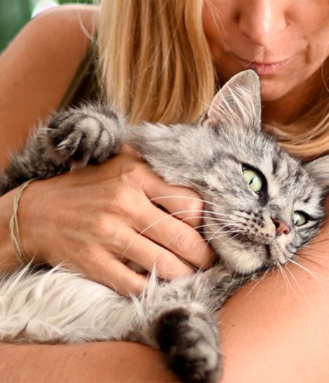 Chat Maine Coon dans les bras de sa maîtresse