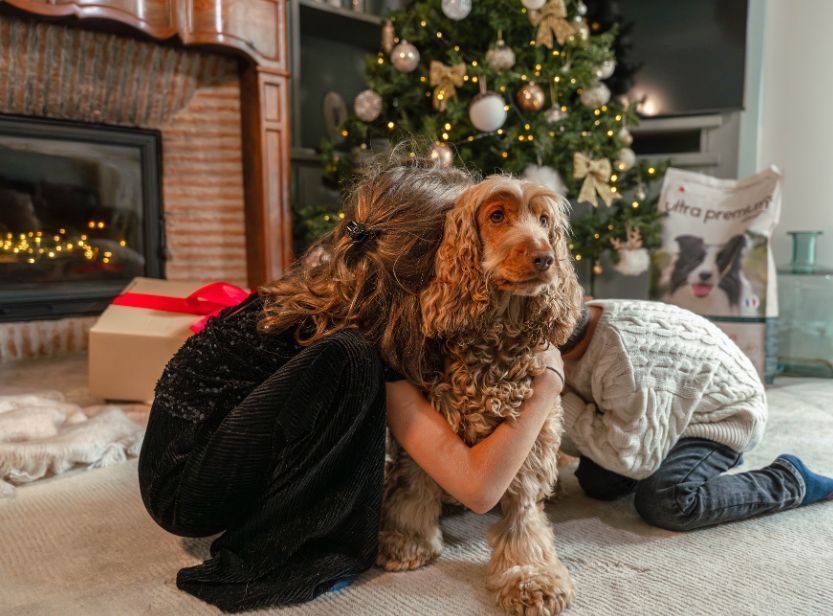cocker devant un sapin de Noël avec des enfants
