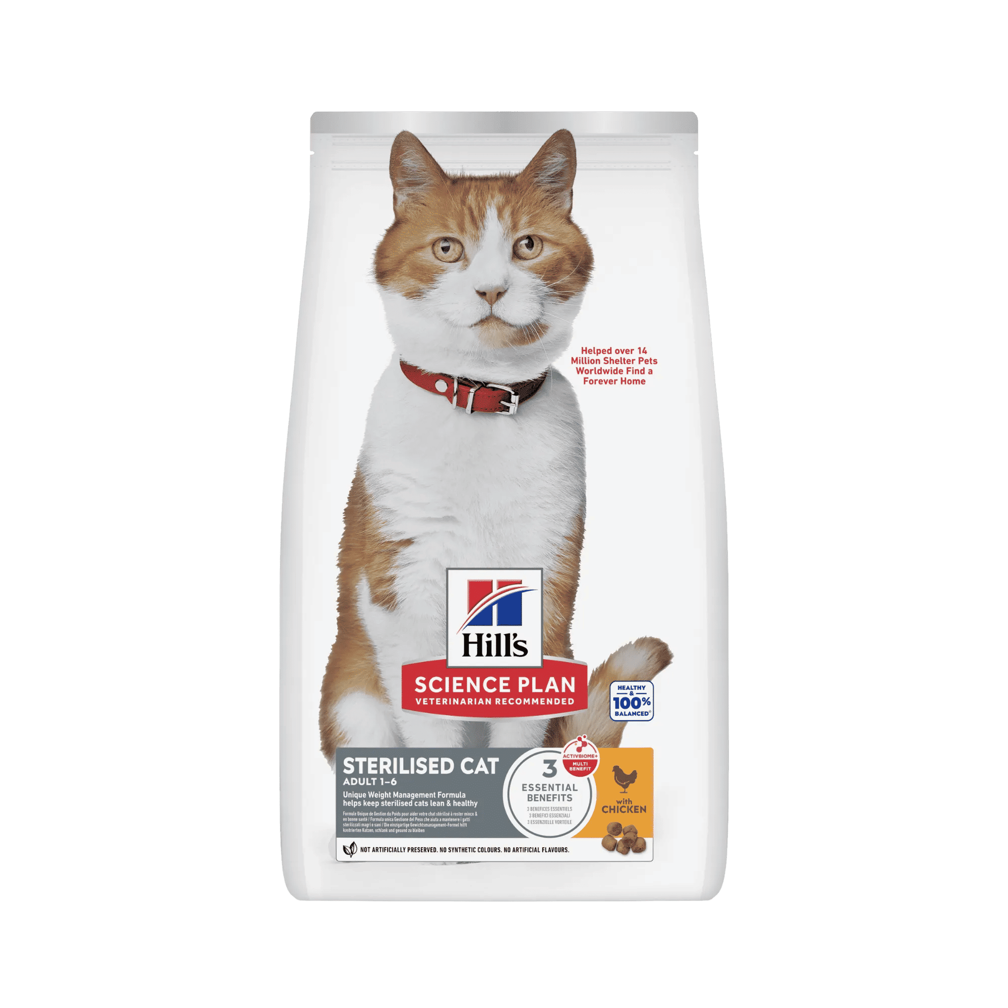 Sterilised Cat