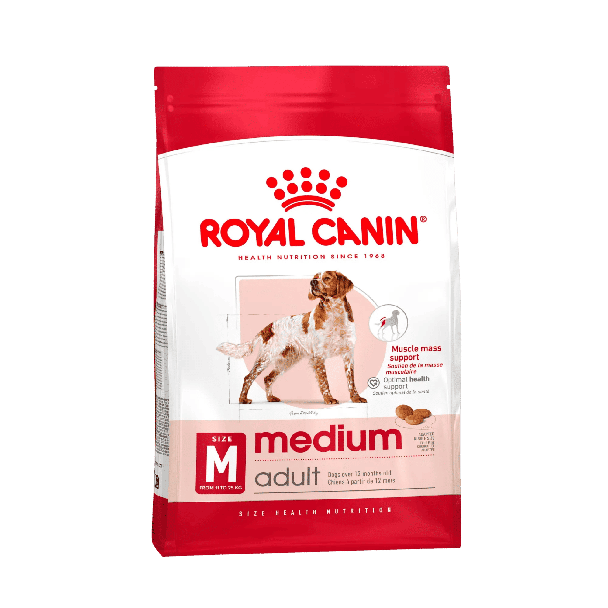 Medium adult