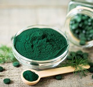 spiruline en poudre dans assiette