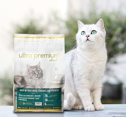 chat avec ses croquettes ultra premium direct